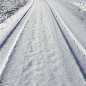 Meet your Posher, Beverly